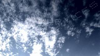 Skywriting HP Enterprise Over Grammy Awards [upl. by Esertal]