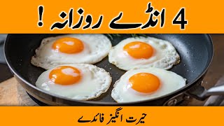 The Shocking Truth About EGGS EAT 4 DAILY  Eggs Ke Fayde  Dr YK [upl. by Gildea]