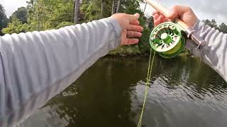 Fly Fishing for Bream after a July Thunderstorm [upl. by Dumm]