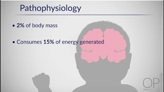 HYPOXIC ISCHEMIC ENCEPHALOPATHY  HIE  CNS Series CH6 [upl. by Iggam]