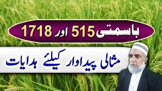 How to get high yield of Basmati 515 and 1718  Crop Reformer [upl. by Linnette]