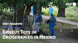 Mexiko Mindestens 24 Tote bei bewaffneten Angriffen  AFP [upl. by Gniliem315]