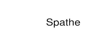 How to pronounce Spathe [upl. by Nanahs]