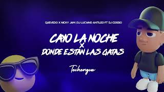 CAYO LA NOCHE GATAS Techengue  DJ Luc14no Antileo Ft DJ Cossio [upl. by Urbain537]