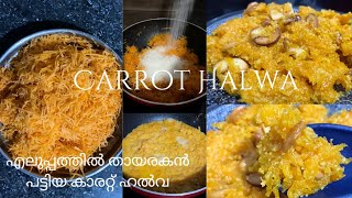 Carrot Halwa Recipe  Sweet Halwa  Easy Recipe Irfana2404 [upl. by Doll]