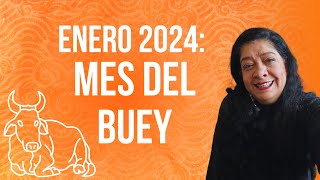 ENERO 2024 MES DEL BUEY ¡ACTIVA LA ENERGÍA A TU FAVOR  Mónica Koppel [upl. by Naehgem]