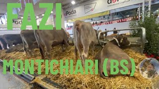 SPECIALE 🐄🐂FAZI🐂🐄 Fiera Agricola Zootecnia Italiana Montichiari BS [upl. by Hal]