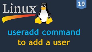 19  Linux for DevOps  Creating a User  useradd command  How to add a user on Linux [upl. by Gehlbach960]