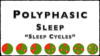 Polyphasic Sleep क्या होती है [upl. by Mathilda]