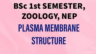 Plasma Membrane Structure Bsc 1st year1st semester1st paper Unit 1 ZOOLOGY [upl. by Nathan636]