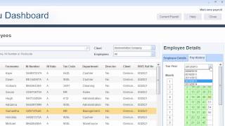 IRIS Bureau Payroll Demonstration [upl. by Gnilhsa686]