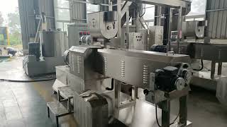 Japanese Panko Bread Crumb Extruder Grinding Crushing Extrusion Making Machine [upl. by Anaibaf]