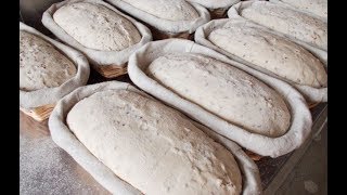 Fabrication du pain au levain et blés anciens  4  Le Façonnage [upl. by Uahc328]