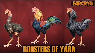 How to get the Roosters of Yara in Far Cry 6  a guide [upl. by Enelloc105]