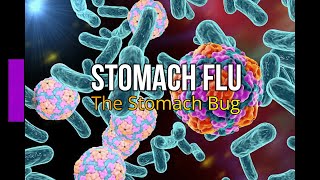 Stomach Flu The Stomach Bug [upl. by Shih]