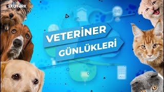 Veteriner Günlükleri  3Bölüm [upl. by Timrek]