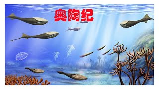 奥陶纪：中国地质学界首创｜奥陶纪简介及名字由来｜地球简史系列6｜海民大叔 [upl. by Enimaj]