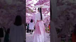 Chinese traditional clothes hanfu [upl. by Adrea]