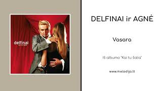 ▶️ Delfinai ir Agnė  Vasara Official Audio [upl. by Tobin]