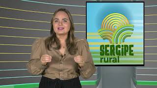 SERGIPE RURAL  PROGRAMA 478 [upl. by Kettie]