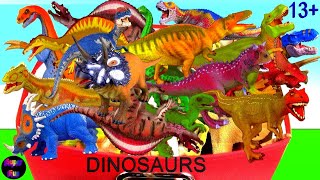 Dinosaur Dinosaurs Dinosaur Box  Tyrannosaurus Spinosaurus T rex Spino 13 [upl. by Idnem]