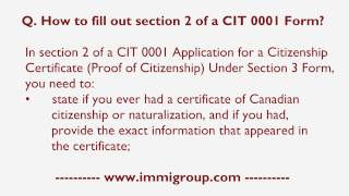 How to fill out section 2 of a CIT 0001 Form [upl. by Pernas236]