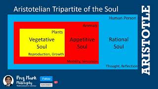 Aristotelians Theory on the Tripartite of the Soul TagalogEnglish [upl. by Neersan]