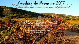 Le coaching de Novembre 2017 [upl. by Vinnie]