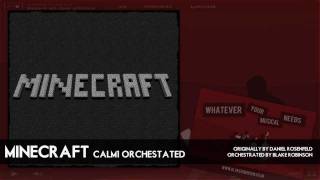 Minecraft Calm1 Orchestra [upl. by Airbma]