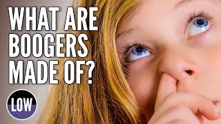 What are Boogers and Where Do They Come From [upl. by Geoff]