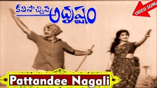 Pattandee Nagali Video Song  Kalisochina Adrustam Telugu Movie Songs  NTR Kanchana  V9videos [upl. by Docile]