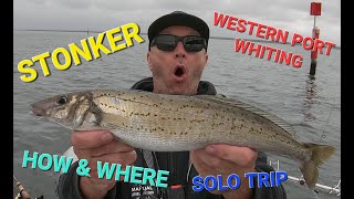 STONKER WESTERN PORT WHITING [upl. by Scevour954]