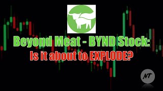 Beyond Meat BYND Stock Is it About to Explode [upl. by Ivett528]