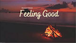 Vietsub  Feeling Good  Michael Bublé  Lyrics Video [upl. by Fenner]