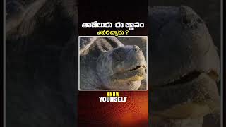 తాబేలుకు ఈ జ్ఞానం ఎవరిచ్చారు  Maitreya Channel [upl. by Elvyn495]