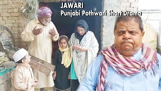 Jawari  Pothwari drama 2024   New Punjabi Drama  Emotional Story Real Life Story  Pothwar Plus [upl. by Sonstrom602]