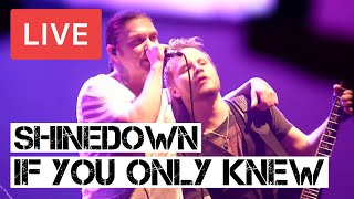 Shinedown  If You Only Knew Live in HD  Roundhouse London 2012 [upl. by Llirrem495]