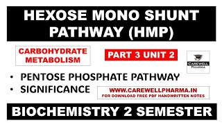 HMP Shunt Pathway  Part 3 Unit 2  biochemistry b pharm 2nd semester  Carewell Pharma [upl. by Ecyrb]