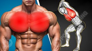 How to Build a Massive Chest  Chest Workout at Gym [upl. by Onairam]