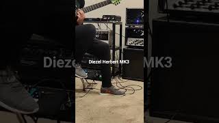 Diezel Herbert MK3 and 7 string [upl. by Tyoh]