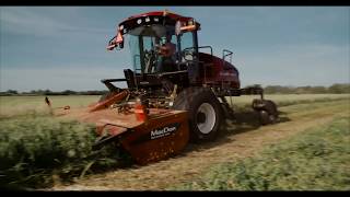 M1 Series Windrower Cutting Platforms  MacDon [upl. by Sitoiyanap133]