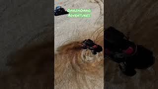 RZR doing donuts badlandsoffroadpark shorts utv funnyvideo atv 4x4 workhardplayhard [upl. by Ahsinroc247]