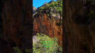 vouraikosGorge vouraikos 4kdrone mountains Peloponnese travel visitgreece discovergreece [upl. by Fairley]