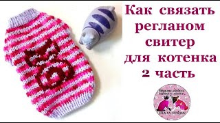 Как связать регланом свитер для котенка 2 часть [upl. by Tella]