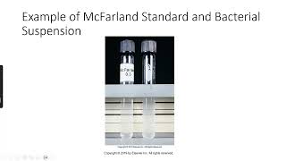 Clinical Microbiology Antimicrobial Susceptibility Testing [upl. by Ammadas555]