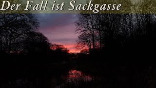 Krimi Hörspiel  der Fall ist Sackgasse [upl. by Neeluj]