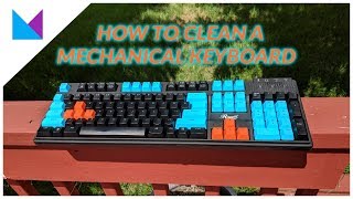 How to Clean Your Mechanical Keyboard  Tech Tip Tuesday [upl. by Nylauqcaj441]