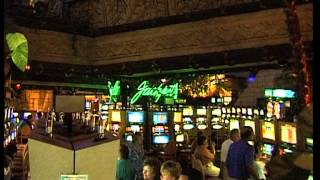 Sun City The Casinos  South Africa Travel Channel [upl. by Oicneconi806]