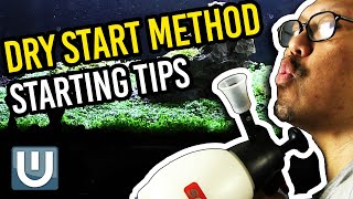 MY SIMPLE RECIPE FOR A BEAUTIFUL PLANTED TANK Copy My Methods [upl. by Lamp]