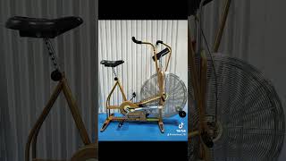 Schwinn Airdyne [upl. by Dlabihcra]